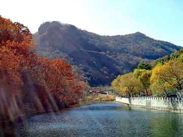 管家婆黑白马报图库，龙神诀